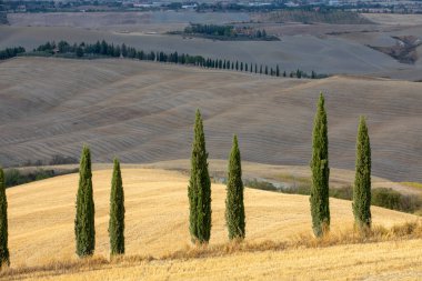 Val d 'Orcia (SI), İtalya - 05 Ağustos 2021: Orcia, Tuscany, İtalya
