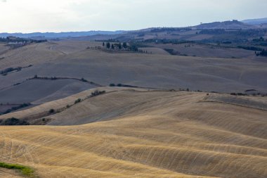 Val d 'Orcia (SI), İtalya - 05 Ağustos 2021: Orcia, Tuscany, İtalya