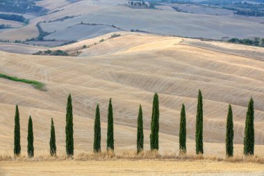 Val d 'Orcia (SI), İtalya - 05 Ağustos 2021: Orcia, Tuscany, İtalya