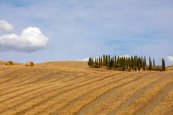 ヴァル ダルオルシア イタリア 2021年8月5日 イタリア トスカーナ州オルシアの典型的な風景 — ストック写真