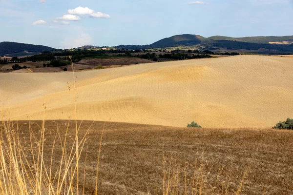 Val Orcia Italien Augusti 2021 Typiskt Landskap Val Orcia Toscana — Stockfoto