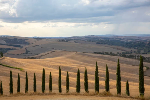 Val Orcia Italia Agosto 2021 Paisaje Típico Val Orcia Toscana —  Fotos de Stock