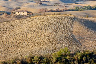 Val d 'Orcia (SI), İtalya - 05 Ağustos 2021: Orcia, Tuscany, İtalya