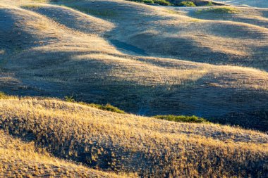 Val d 'Orcia (SI), İtalya - 05 Ağustos 2021: Orcia, Tuscany, İtalya