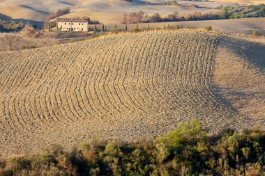 Val d 'Orcia (SI), İtalya - 05 Ağustos 2021: Orcia, Tuscany, İtalya