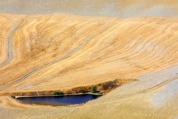 Val Orcia Italie Août 2021 Paysage Typique Val Orcia Toscane — Photo