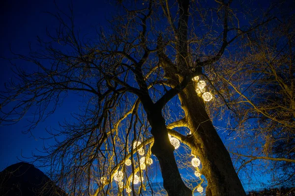 Lugano Suiza Diciembre 2021 Decoraciones Navideñas Parque Ciani Lugano Suiza — Foto de Stock