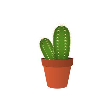 Vector illustration of a home plant cactus.