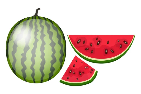 Vector Illustration Watermelon Big Sweet Berry Red Pulp — Stock vektor