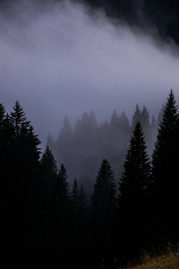 Dolomites dağlarında gün batımı, Alpler, kuzey İtalya. Avrupa