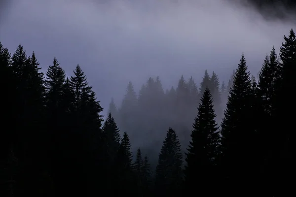 Dolomites dağlarında gün batımı, Alpler, kuzey İtalya. Avrupa