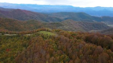 Puigsacalm Tepesi, La Garrotxa, Girona, İspanya 'daki sonbahar manzarasının insansız hava aracı görüntüsü. 4K UHD