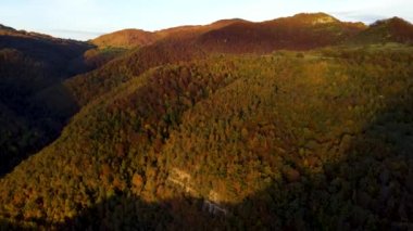 Puigsacalm Tepesi, La Garrotxa, Girona, İspanya 'daki sonbahar manzarasının insansız hava aracı görüntüsü. 4K UHD
