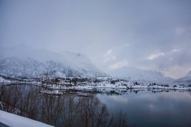 Lofoten Adaları 'nda kış, Kuzey, Norveç.