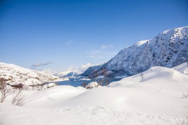 Lofoten Adaları 'nda kış, Kuzey, Norveç.
