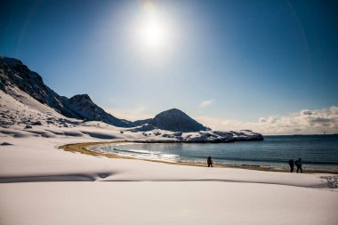 Lofoten Adaları 'nda kış, Kuzey, Norveç.