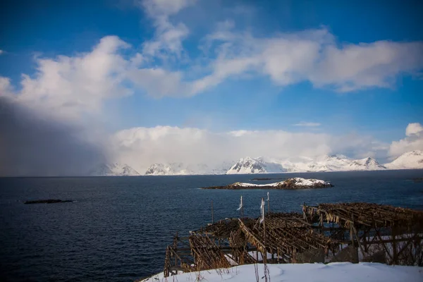 Γάδος Και Αλατισμένος Μπακαλιάρος Στις Νήσους Lofoten Βόρεια Νορβηγία — Φωτογραφία Αρχείου