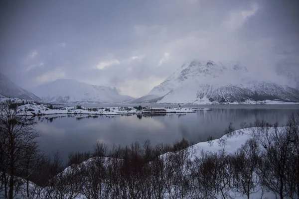 Tél Lofoten Szigeteken Észak Norvégia — Stock Fotó