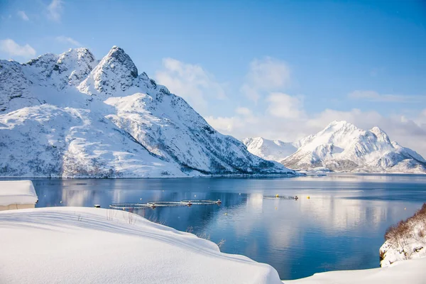 Tél Lofoten Szigeteken Észak Norvégia — Stock Fotó