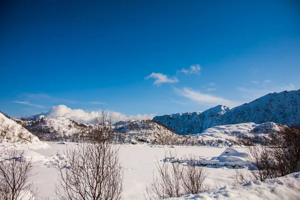 Zima Wyspach Lofoten Północ Norwegia — Zdjęcie stockowe