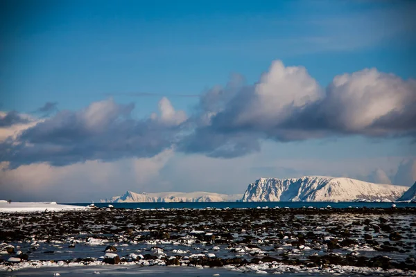 Vinter Lofoten Nord Norge – stockfoto