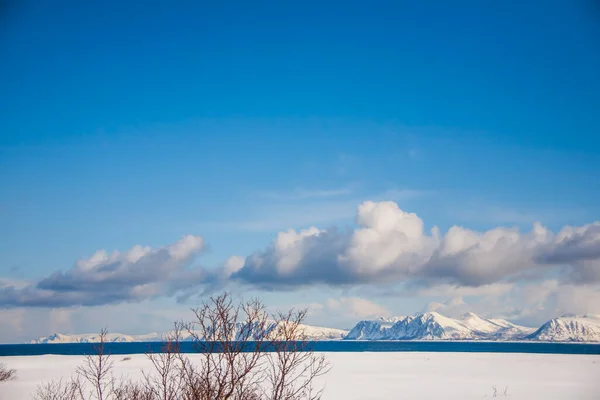 Zima Wyspach Lofoten Północ Norwegia — Zdjęcie stockowe