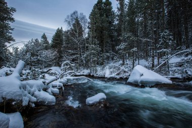 Capcir, Cerdagne, Pyrenees, Fransa 'da kış nehri.