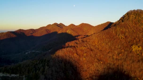 Escena Aérea Con Dron Del Paisaje Otoñal Pico Puigsacalm Garrotxa — Vídeos de Stock