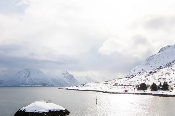 Tél Lofoten Szigeteken Észak Norvégia — Stock Fotó