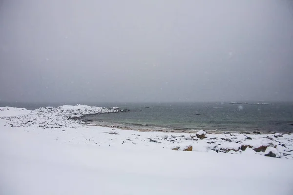 Bleik Plajı Nda Kış Lofoten Adaları Kuzey Norveç — Stok fotoğraf