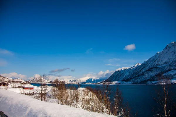 Inverno Lofoten Islands Northern Noruega — Fotografia de Stock