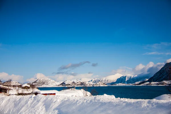 Lofoten Adaları Nda Kış Kuzey Norveç — Stok fotoğraf