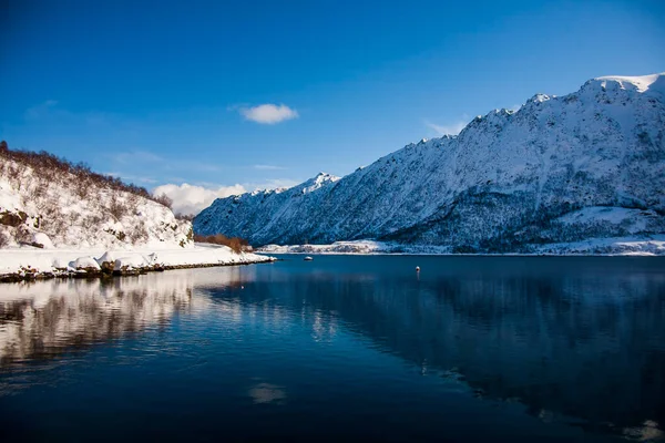 Winter Auf Den Lofoten Northern Norwegen — Stockfoto