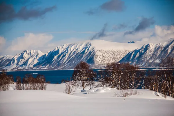 Зима Лофотенських Островах Північна Норвегія — стокове фото
