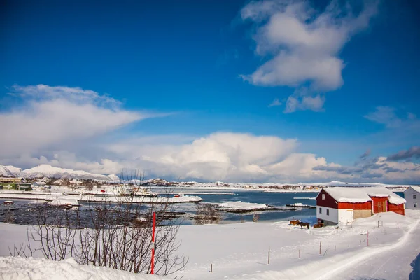 Zima Wyspach Lofoten Północ Norwegia — Zdjęcie stockowe