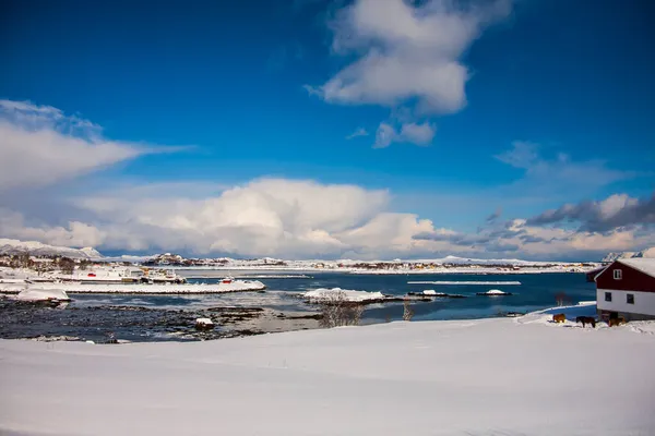 Zima Wyspach Lofoten Północ Norwegia — Zdjęcie stockowe