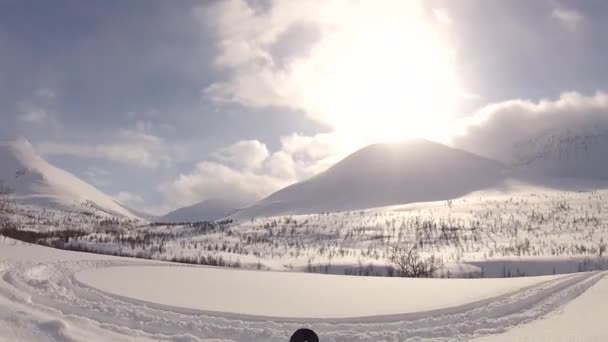 Hundeschlitten Auf Den Lofoten Nordnorwegen — Stockvideo