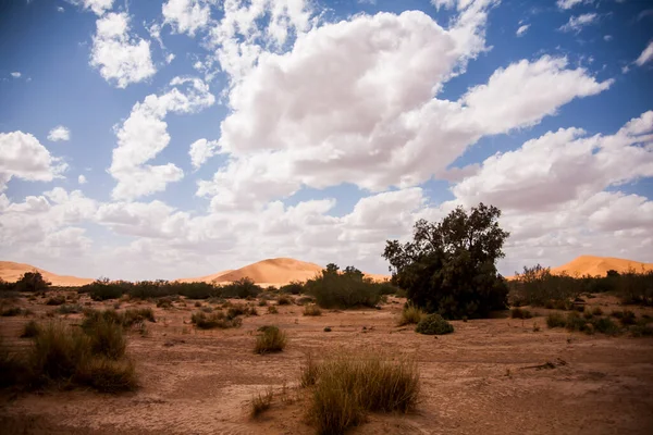 Paesaggio Asciutto Dune Nel Deserto Del Sahara Marocco — Foto Stock