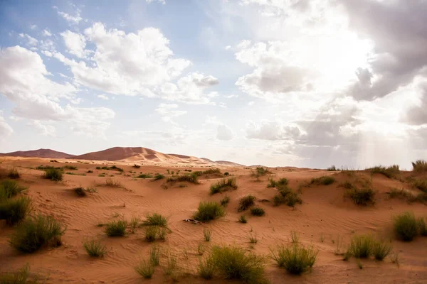 Ξηρό Τοπίο Και Αμμόλοφοι Στην Έρημο Σαχάρα Μαρόκο — Φωτογραφία Αρχείου