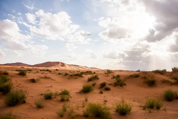 Paesaggio Asciutto Dune Nel Deserto Del Sahara Marocco — Foto Stock