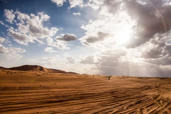 Paisagem Seca Dunas Deserto Saara Marrocos — Fotografia de Stock