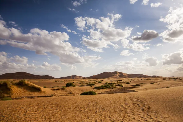 Dry Landscape Dunes Sahara Desert Morocco — Stock Photo, Image