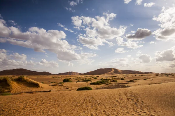 Droge Landschap Duinen Sahara Woestijn Marokko — Stockfoto