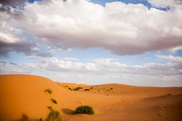 Paisaje Seco Dunas Desierto Del Sahara Marruecos — Foto de Stock