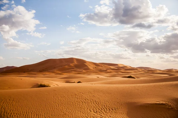 Paisaje Seco Dunas Desierto Del Sahara Marruecos — Foto de Stock