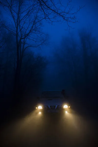4x4 car in the mist forest in Osona, Barcelona, Spain