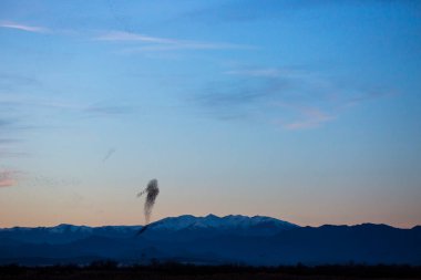 Aiguamolls De L Emporda Doğa Parkında sığırcıkların mırıldanması, İspanya.