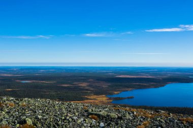 Finlandiya 'daki Yllas Pallastunturi Ulusal Parkı' nda sonbahar manzarası