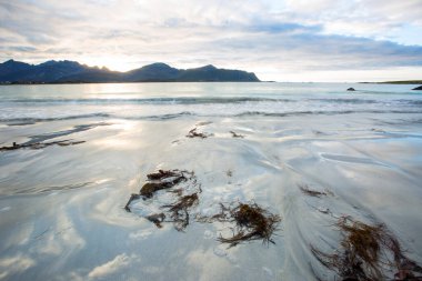 Lofoten Adaları 'ndaki sonbahar manzarası ve plajı. Norveç