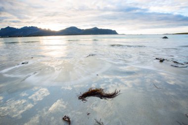 Lofoten Adaları 'ndaki sonbahar manzarası ve plajı. Norveç